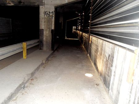 SDC11068