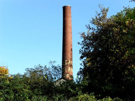 SDC11175